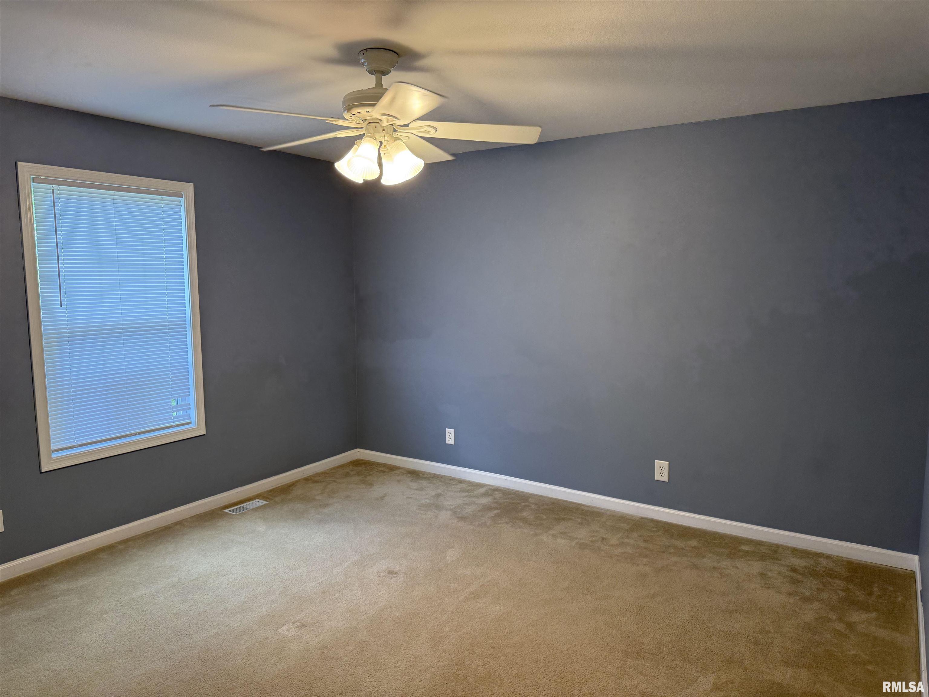 3511 W Brenwick Drive, Peoria, Illinois image 42