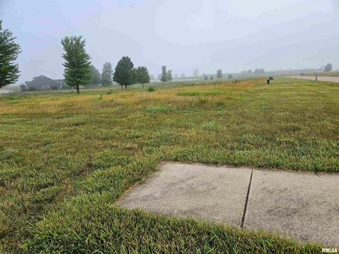 Vacant Land For Sale - 809 Ring Drive<br/> Metamora, IL 61548