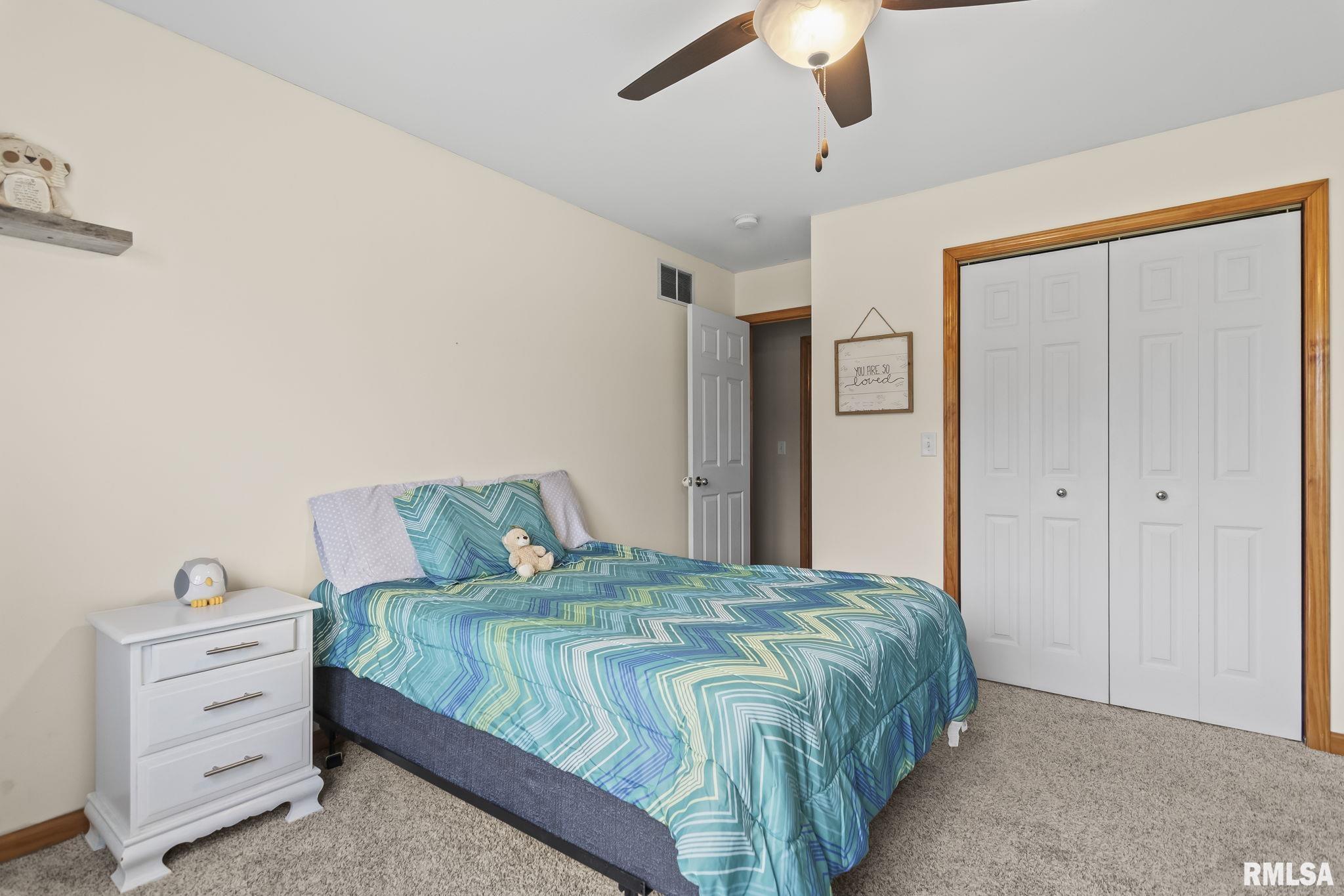 110 Brookside Glen Drive, Sherman, Illinois image 23