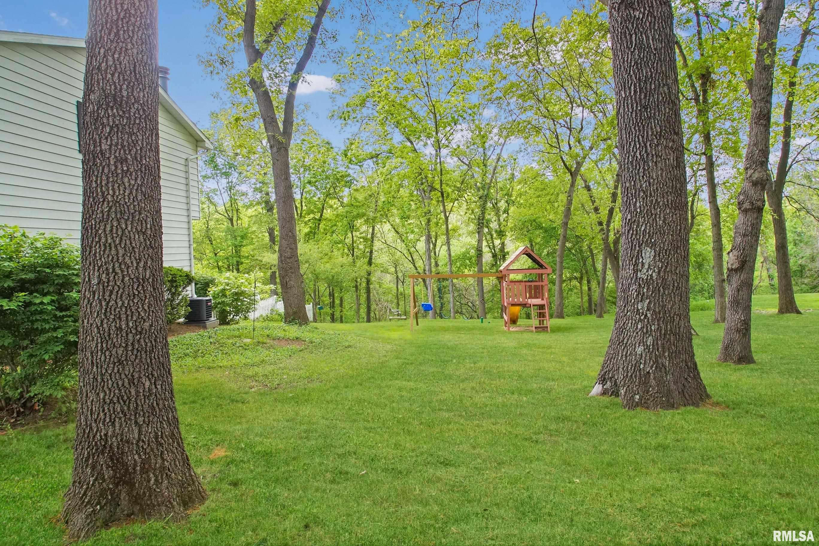 6311 N Fox Chapel Trail, Edwards, Illinois image 5