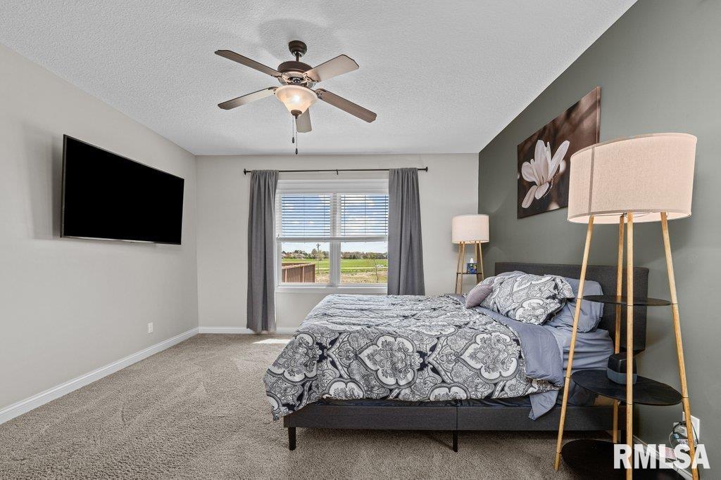 4877 Mason Run, Bettendorf, Iowa image 21