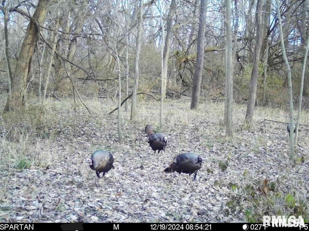 E 500 N 300 E Road, Oconee, Illinois image 36