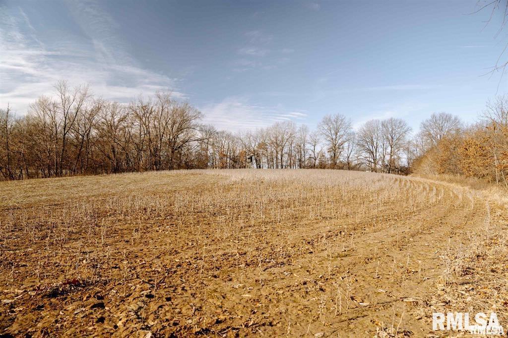 E 500 N 300 E Road, Oconee, Illinois image 9