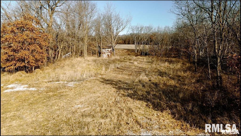E 500 N 300 E Road, Oconee, Illinois image 12