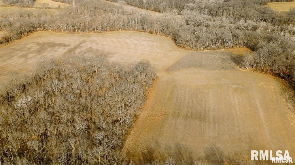 E 500 N 300 E Road, Oconee, Illinois image 3