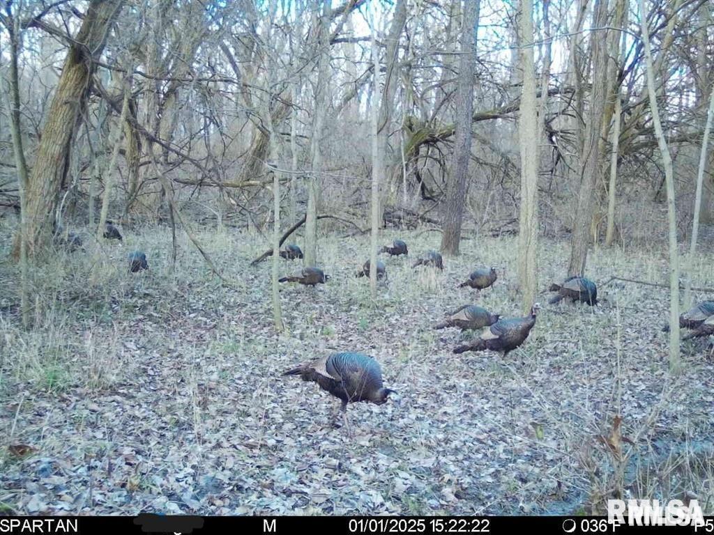 E 500 N 300 E Road, Oconee, Illinois image 39