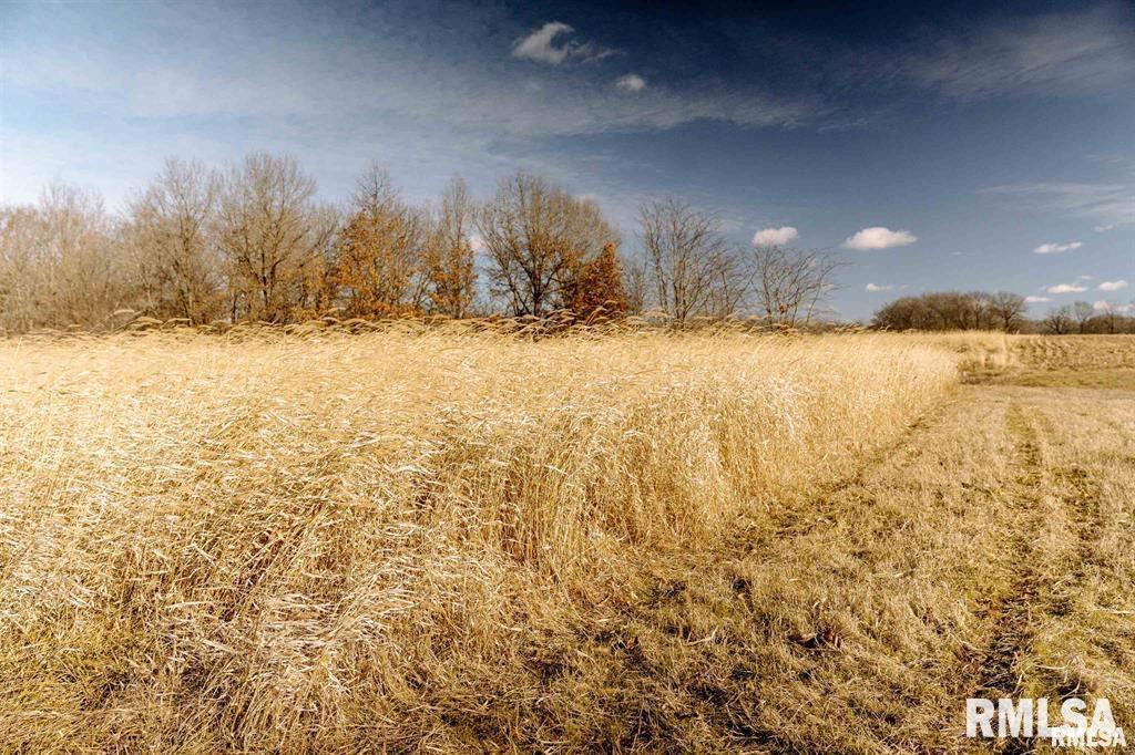 E 500 N 300 E Road, Oconee, Illinois image 8