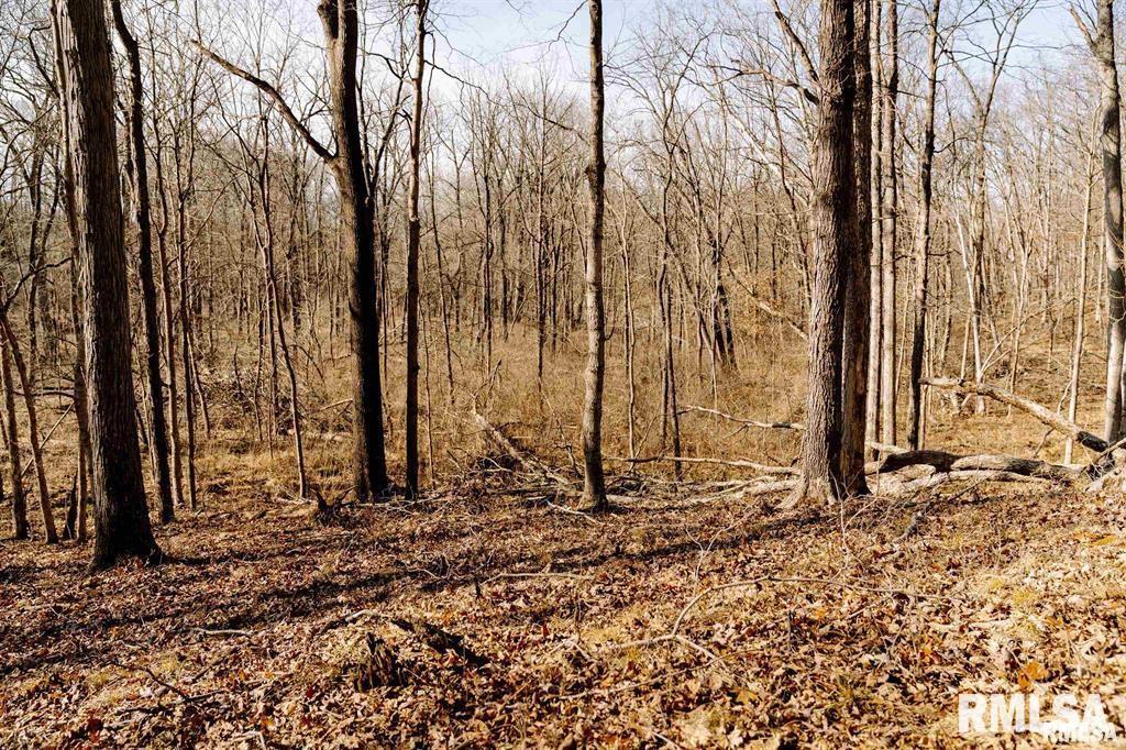 E 500 N 300 E Road, Oconee, Illinois image 33