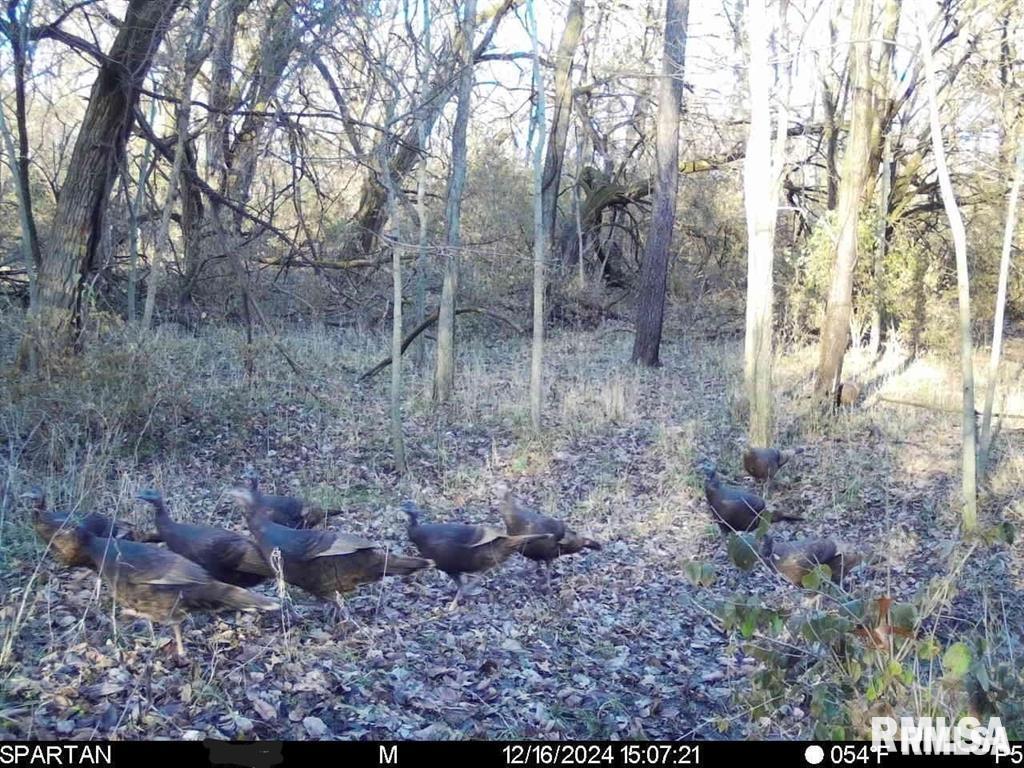 E 500 N 300 E Road, Oconee, Illinois image 37