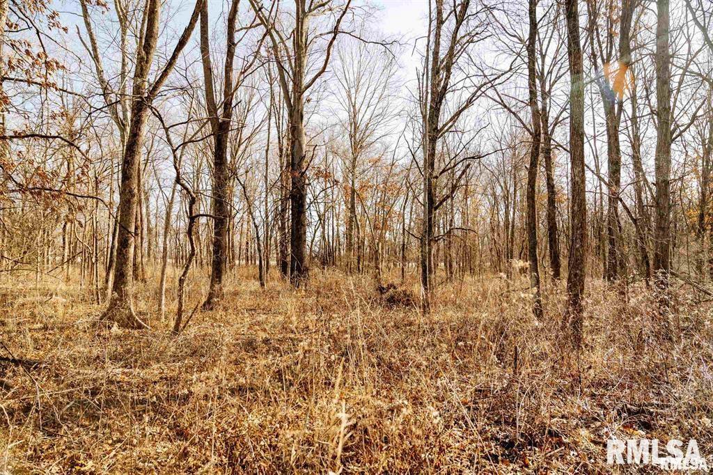 E 500 N 300 E Road, Oconee, Illinois image 35