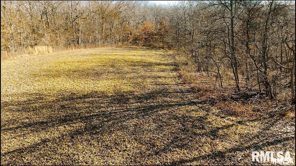 E 500 N 300 E Road, Oconee, Illinois image 16