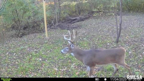 Vacant Land For Sale - 4120-4319 N 925th Street<br/> Paris, IL 61944