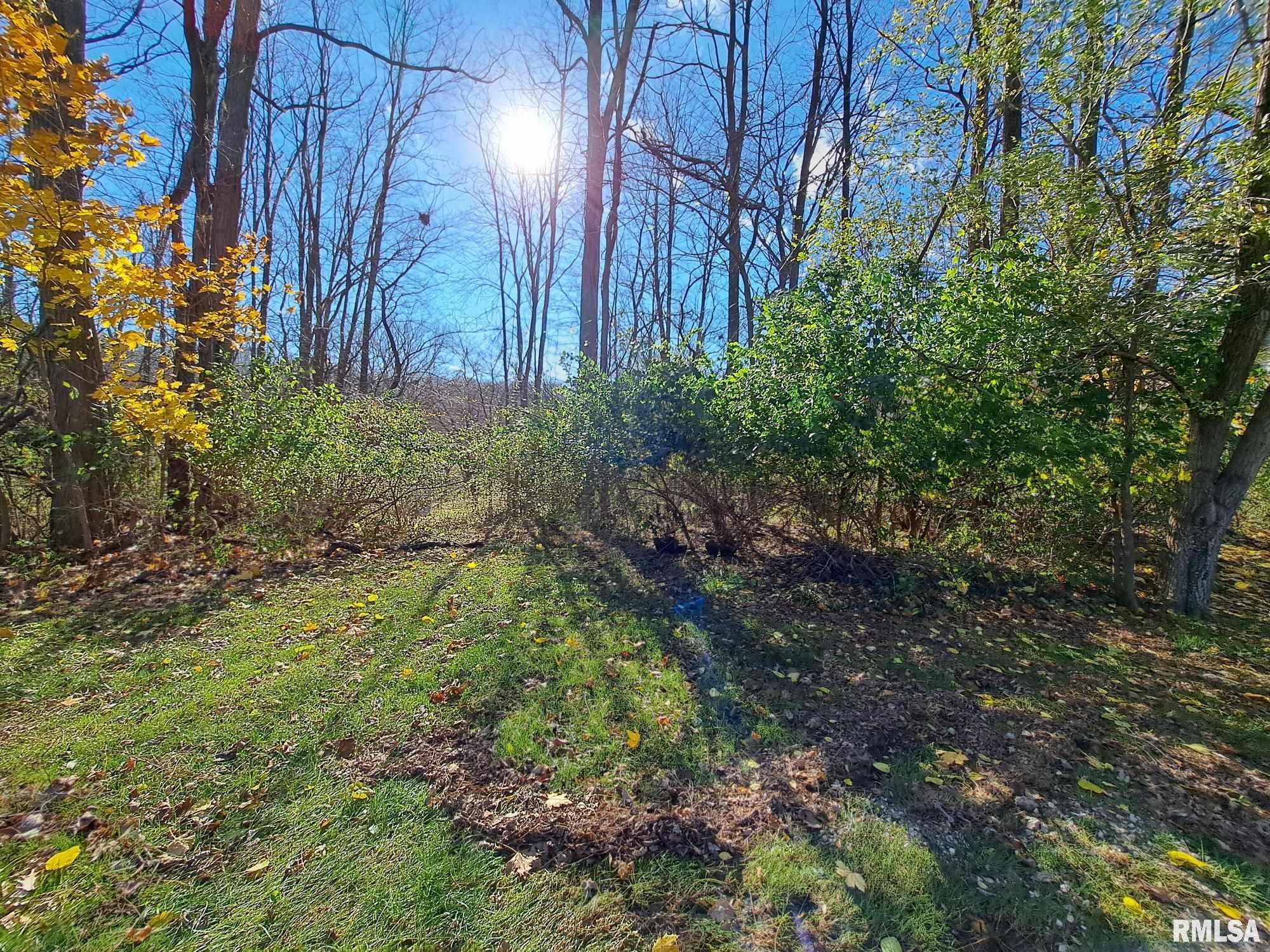 Lot 23 Scenic Hill, Port Byron, Illinois image 1