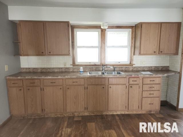 317 N Washington Street, Sparta, Illinois image 3