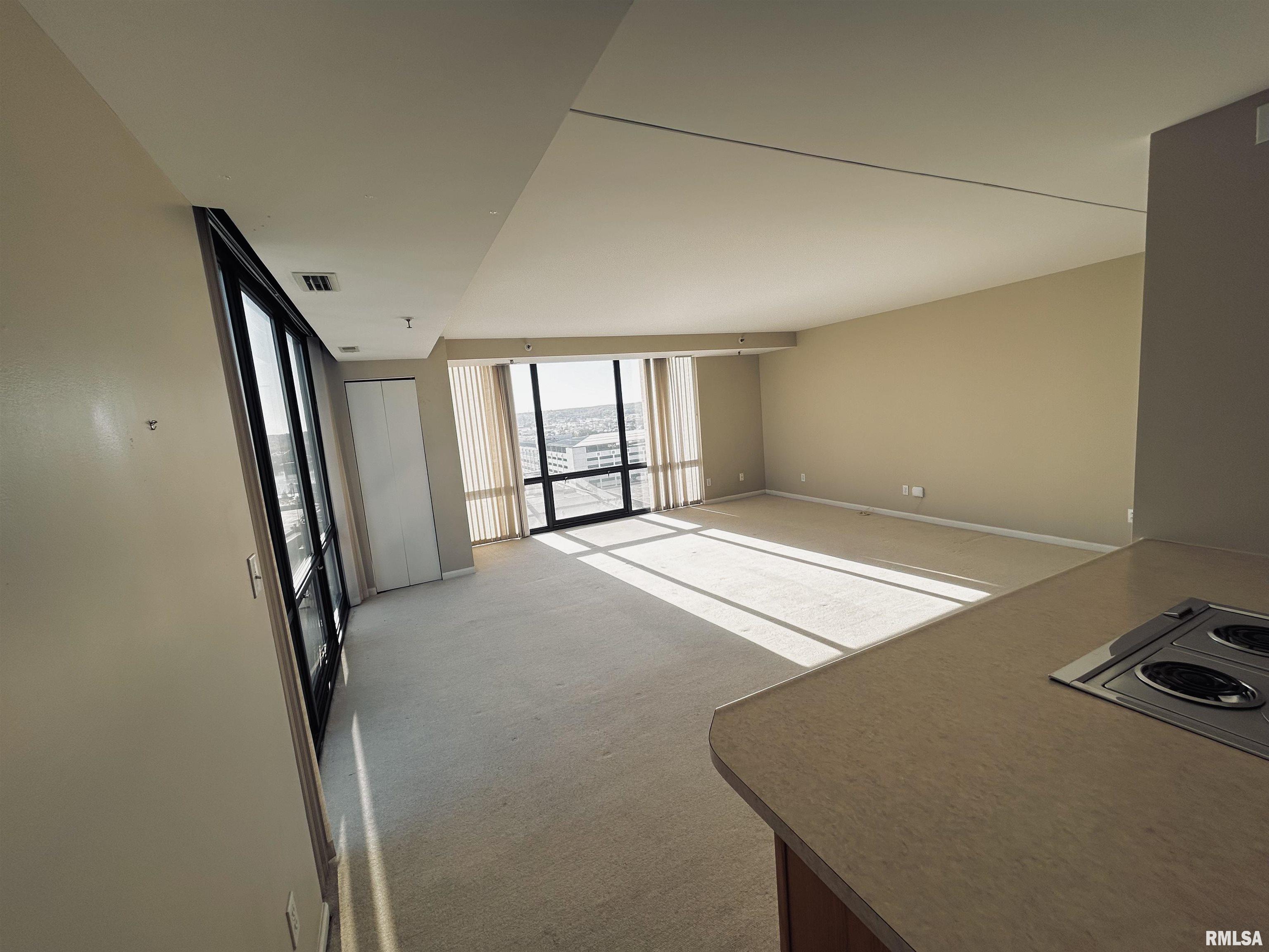 125 SW Jefferson Avenue #W14NE, Peoria, Illinois image 17