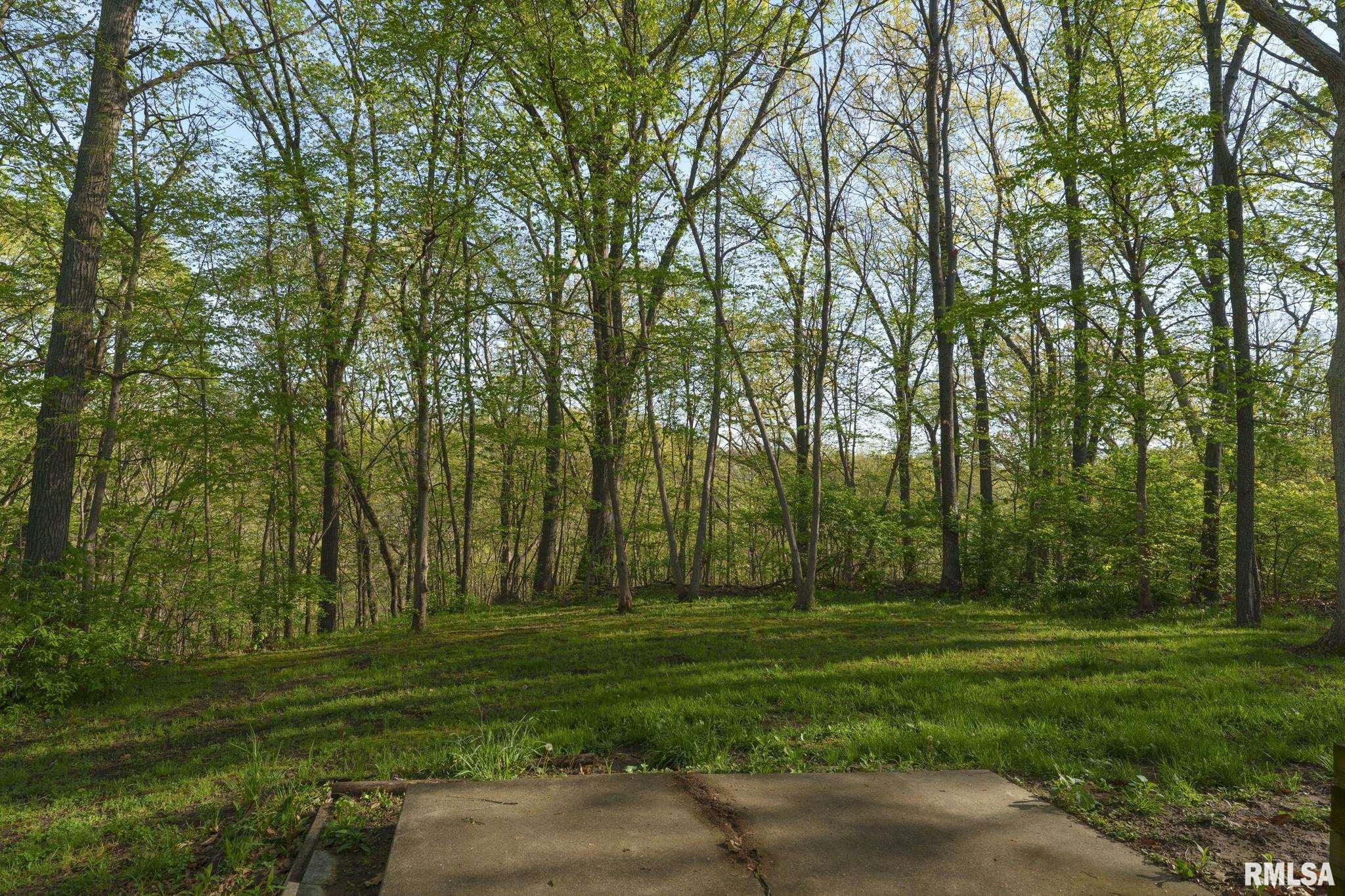 3601 W Saymore Lane, Peoria, Illinois image 29