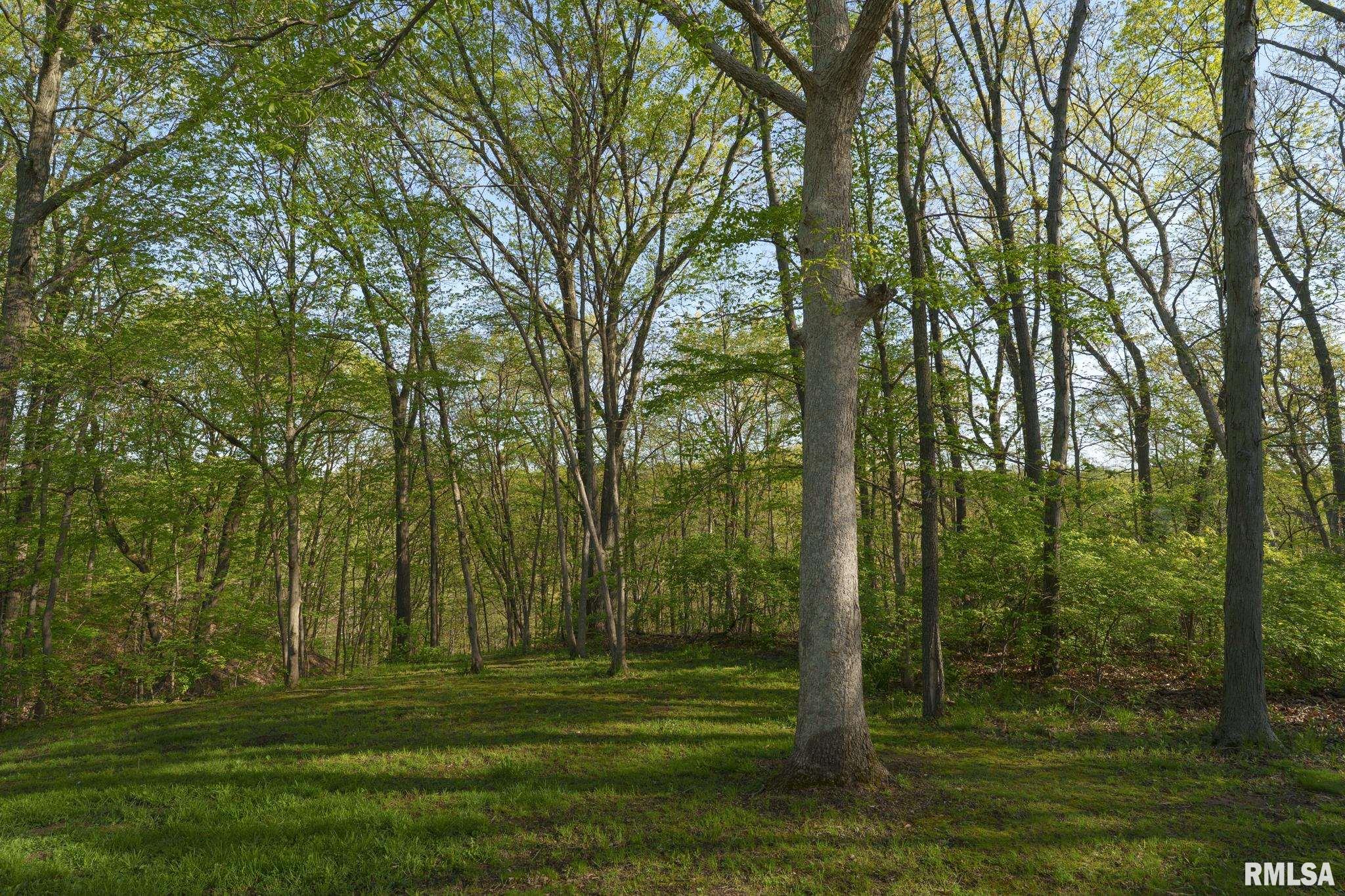 3601 W Saymore Lane, Peoria, Illinois image 30