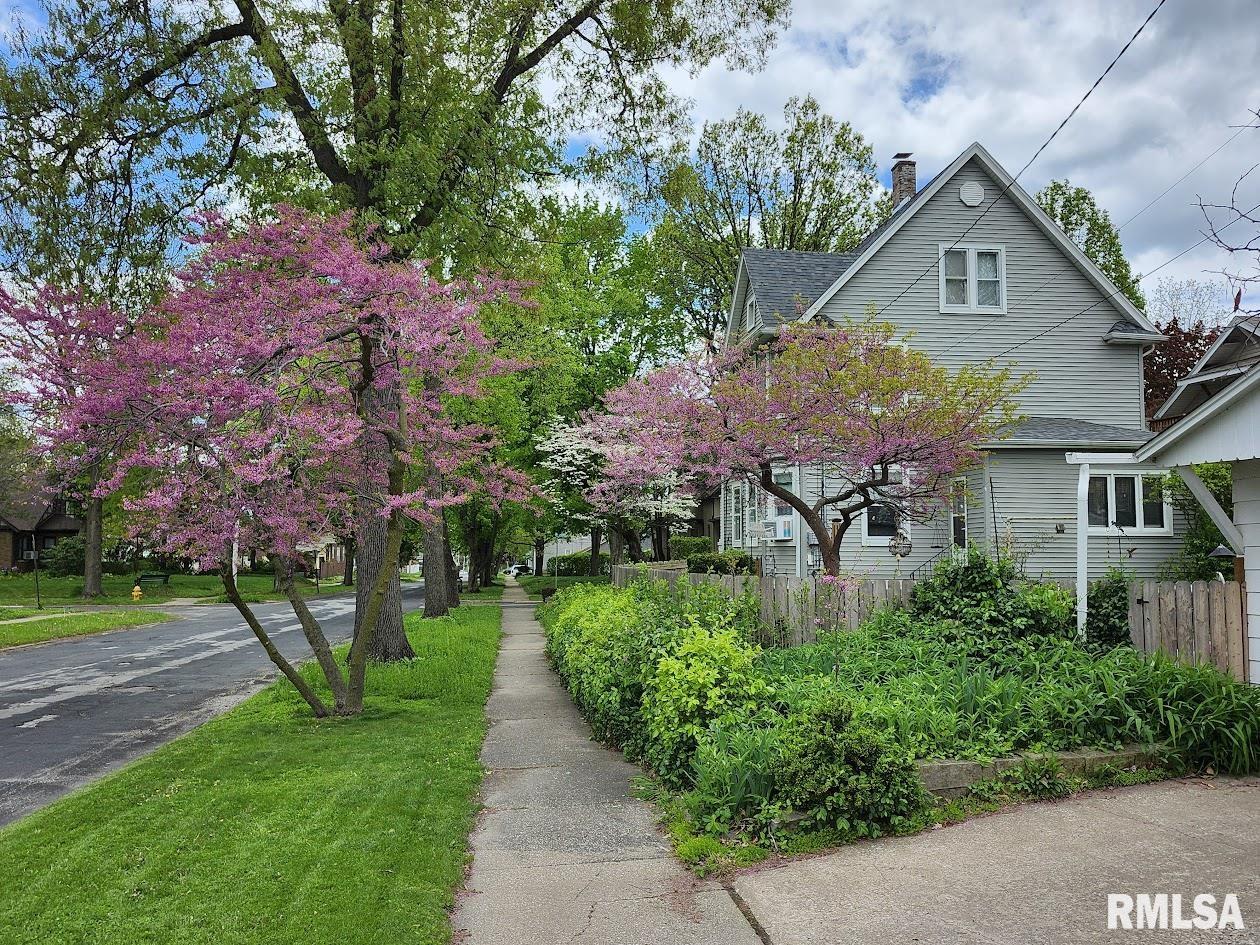 2455 19th Avenue, Rock Island, Illinois image 5