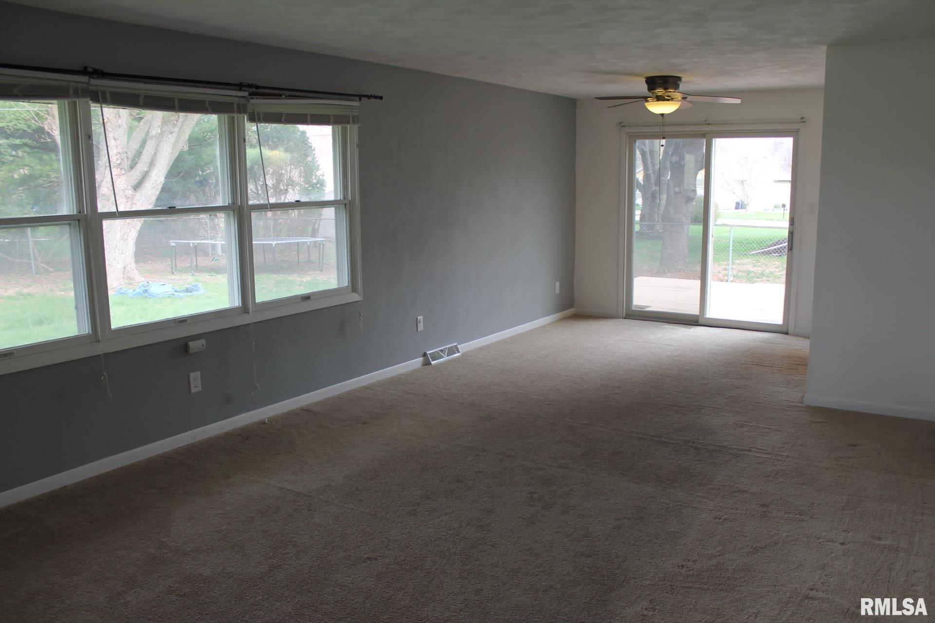 109 N 3rd Street, Colona, Illinois image 18