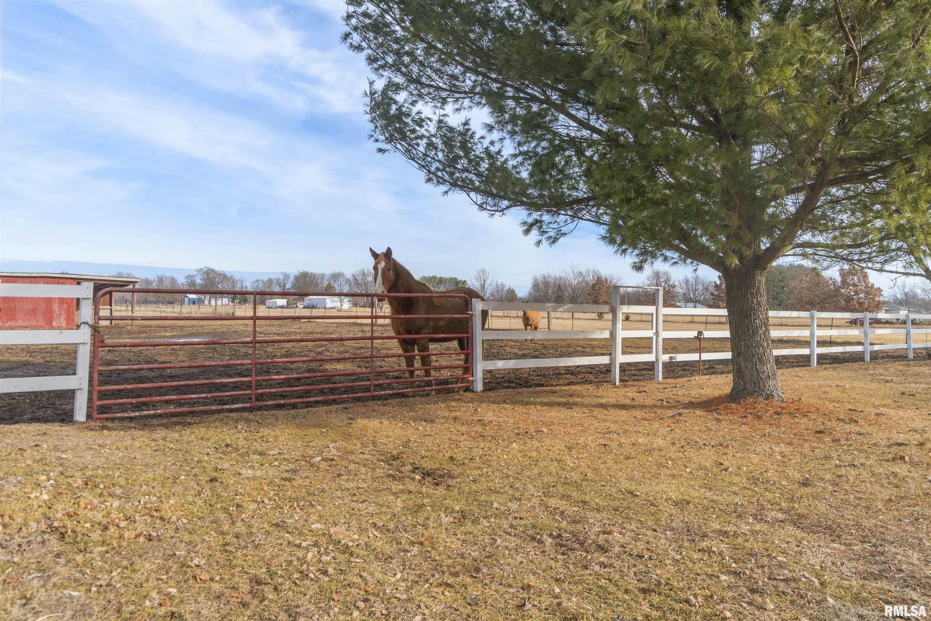 13338 Townline Road, Green Valley, Illinois image 35