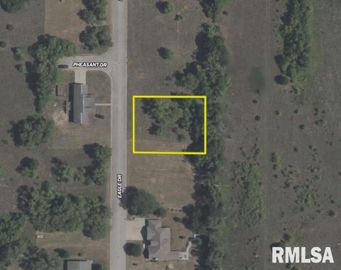 Vacant Land For Sale - 314 Eagle Drive<br/> Meredosia, IL 62665