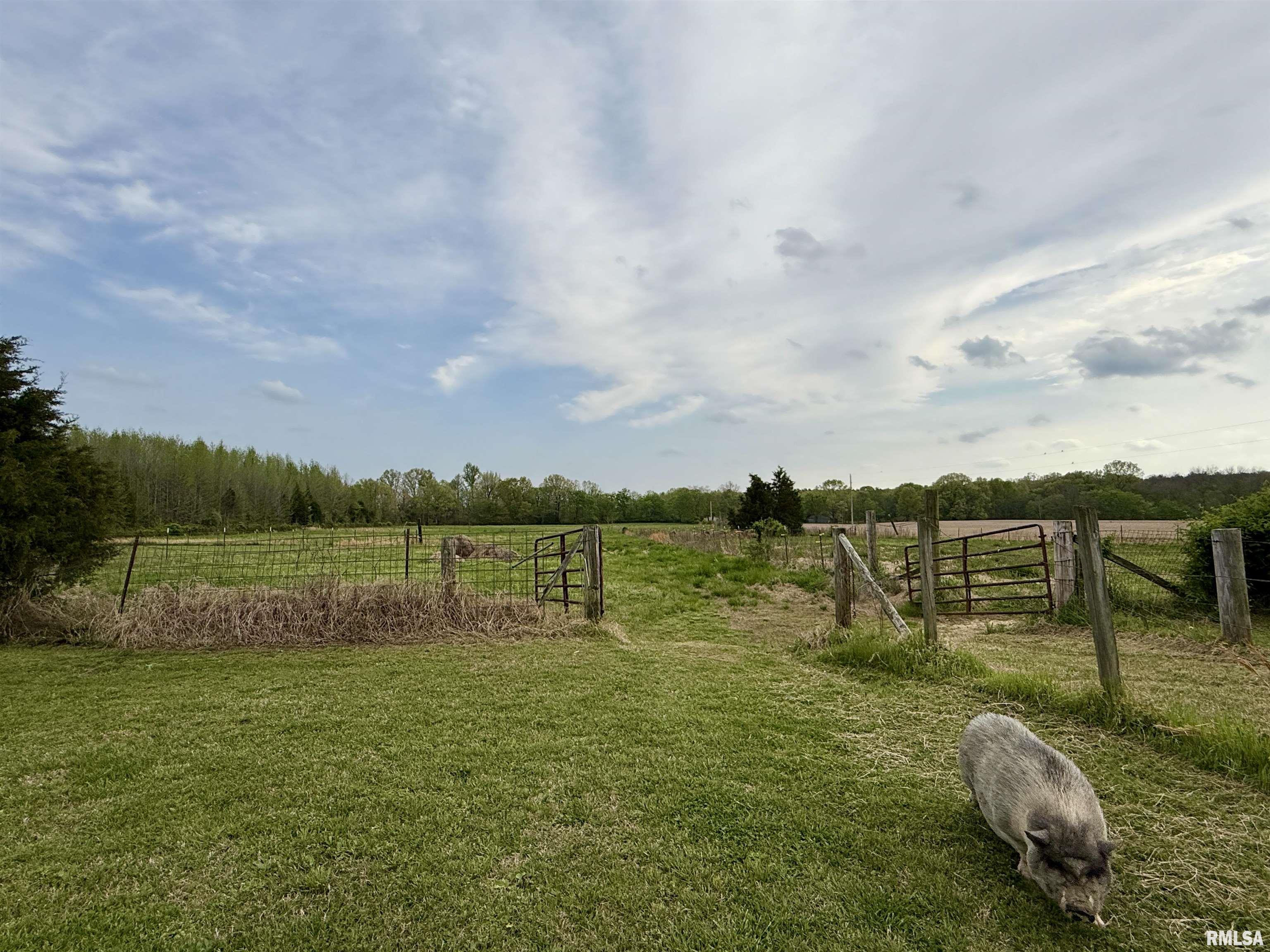 8806 Unionville Road, Brookport, Illinois image 39