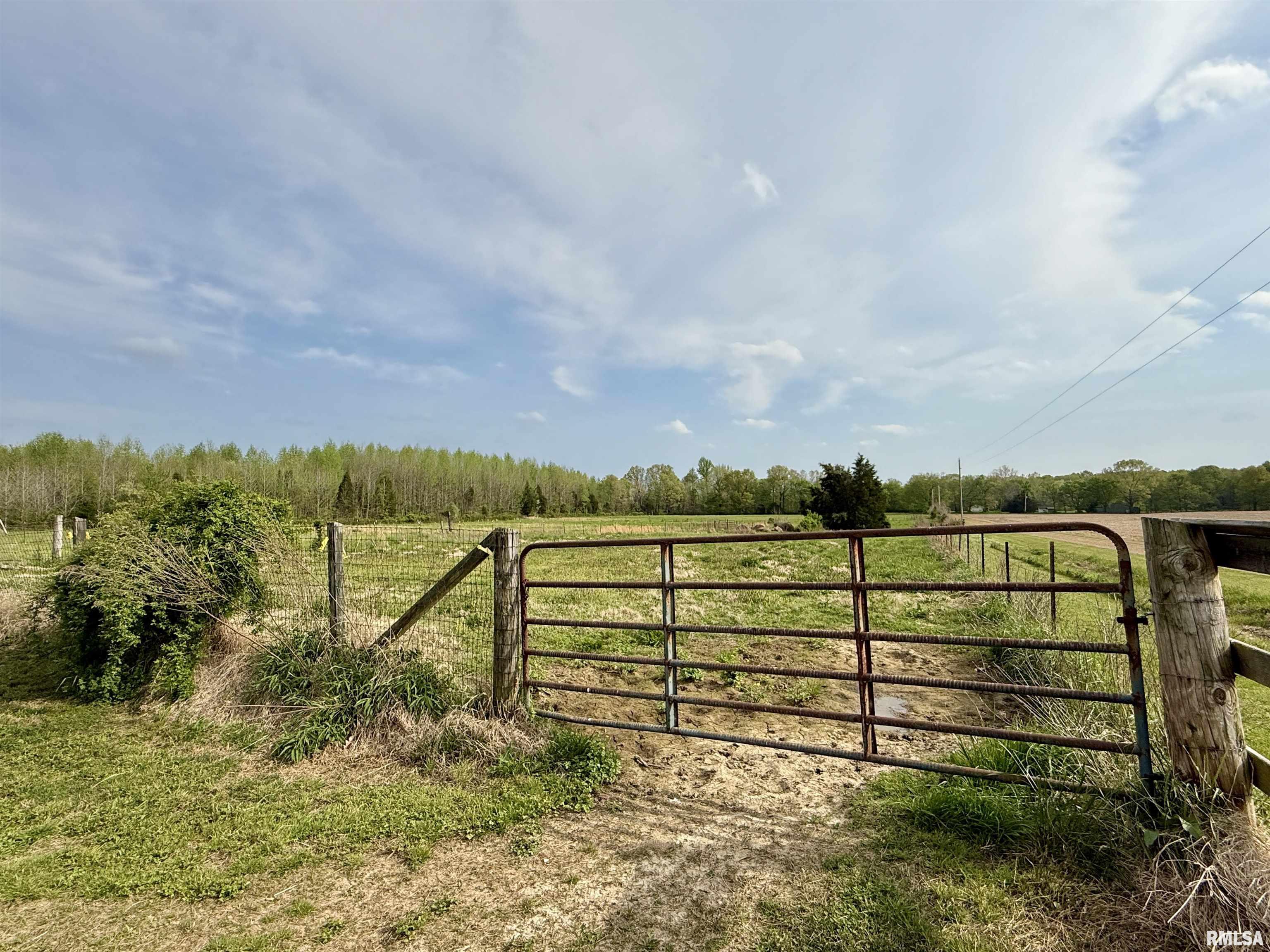 8806 Unionville Road, Brookport, Illinois image 47