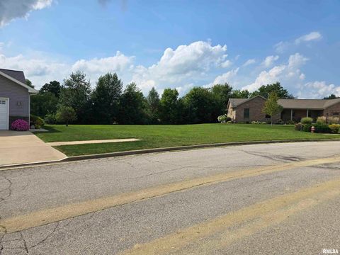 Vacant Land For Sale - LOT 15 Parkview Drive<br/> Woodford County, Eureka, IL 61530