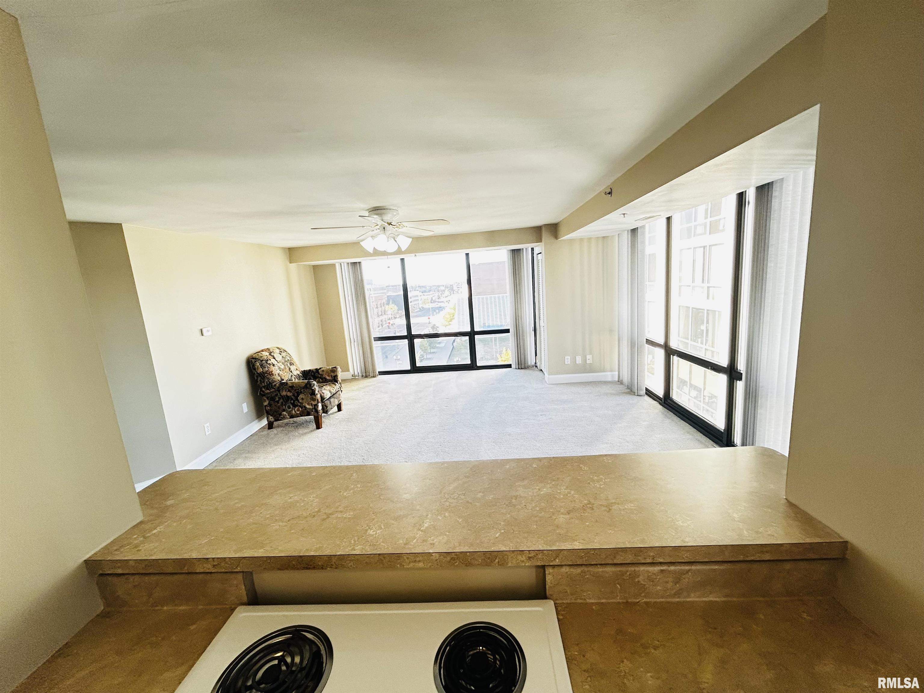 123 SW Jefferson Avenue #E7W, Peoria, Illinois image 16