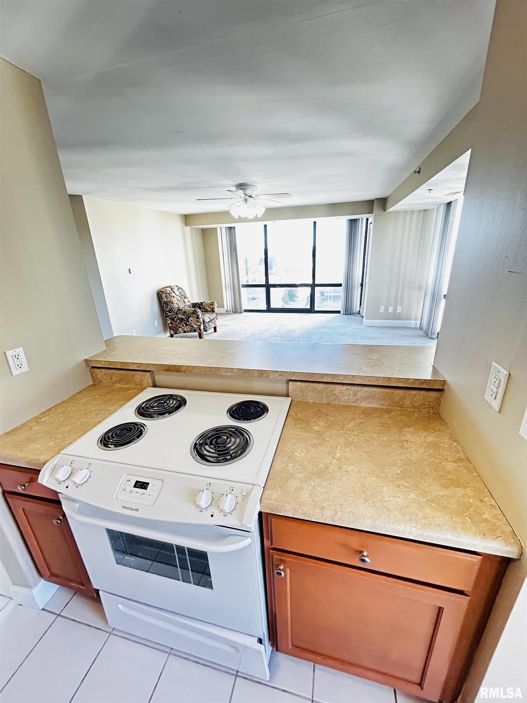 123 SW Jefferson Avenue #E7W, Peoria, Illinois image 19