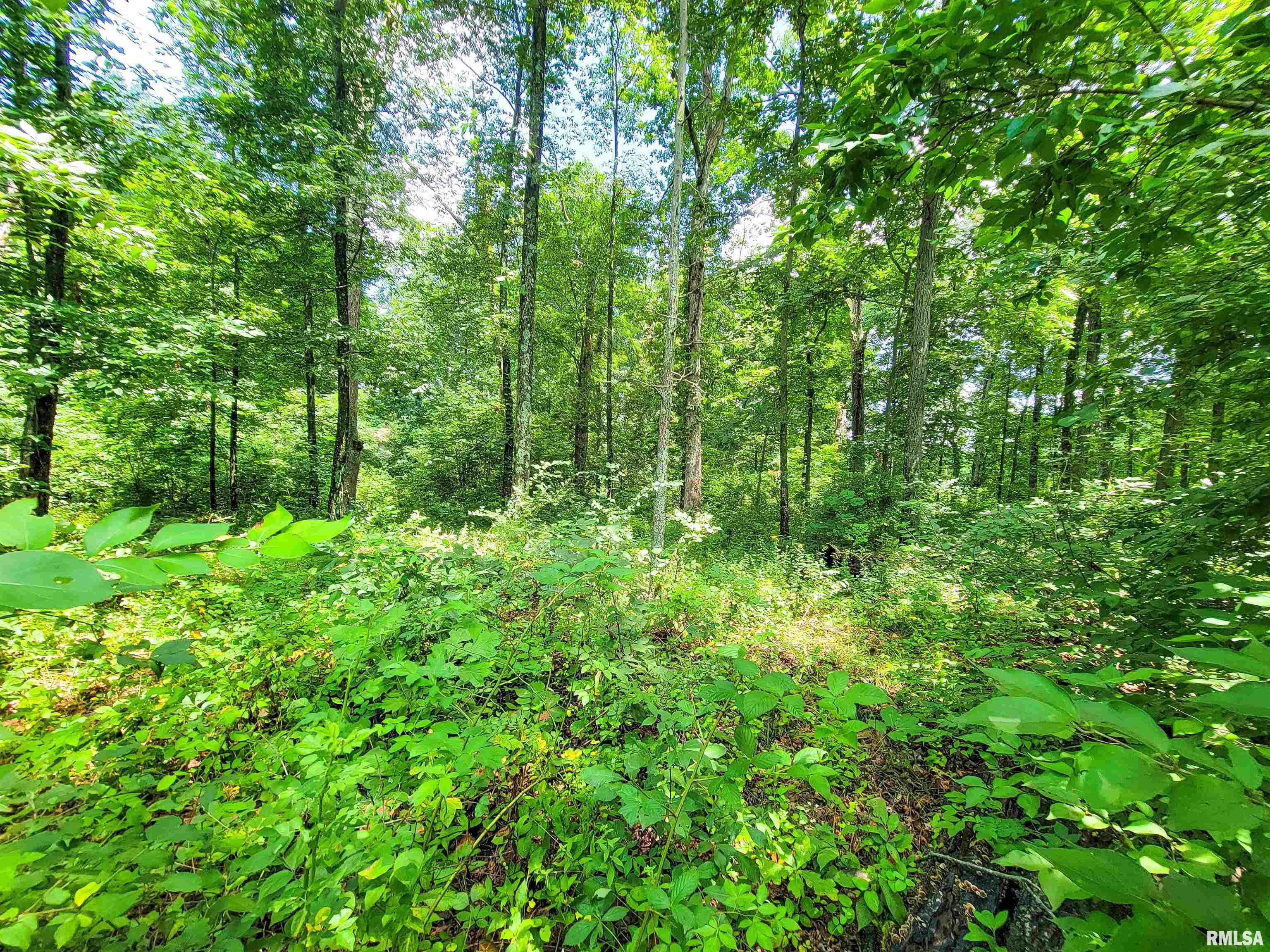 000 Hanging Rock Road, Flora, Illinois image 9