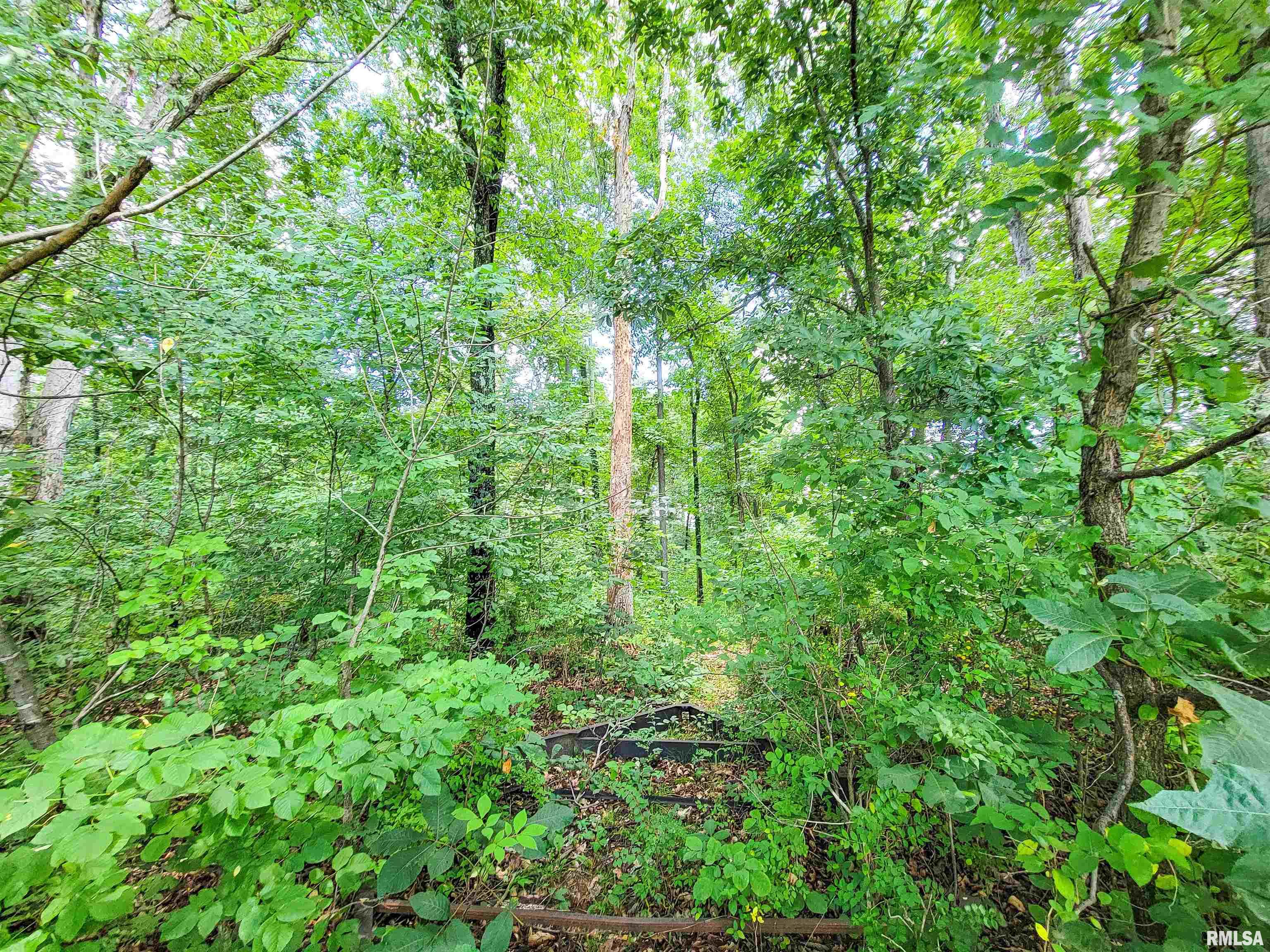 000 Hanging Rock Road, Flora, Illinois image 3