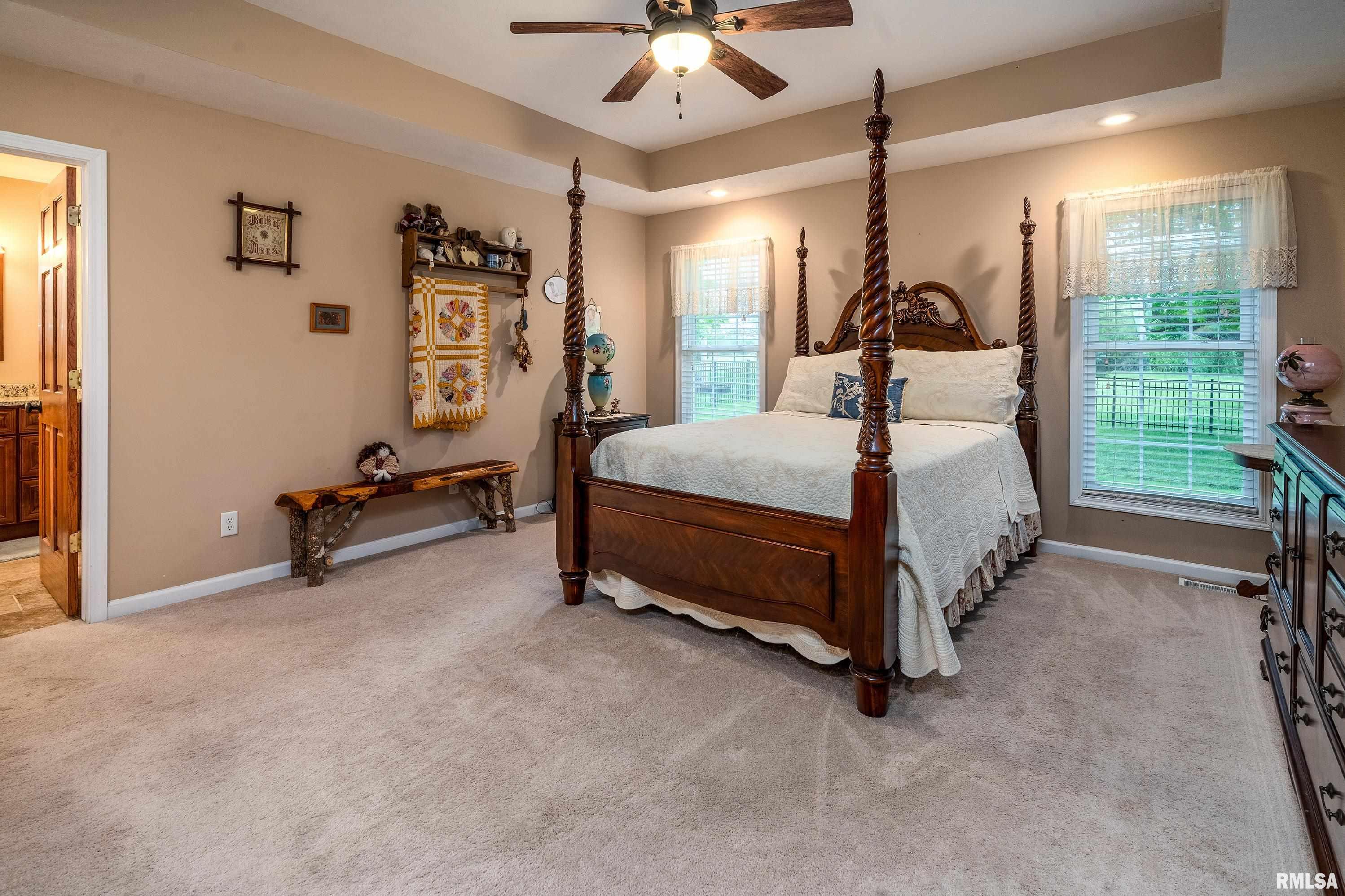 5963 Lakeview Drive, Carterville, Illinois image 12