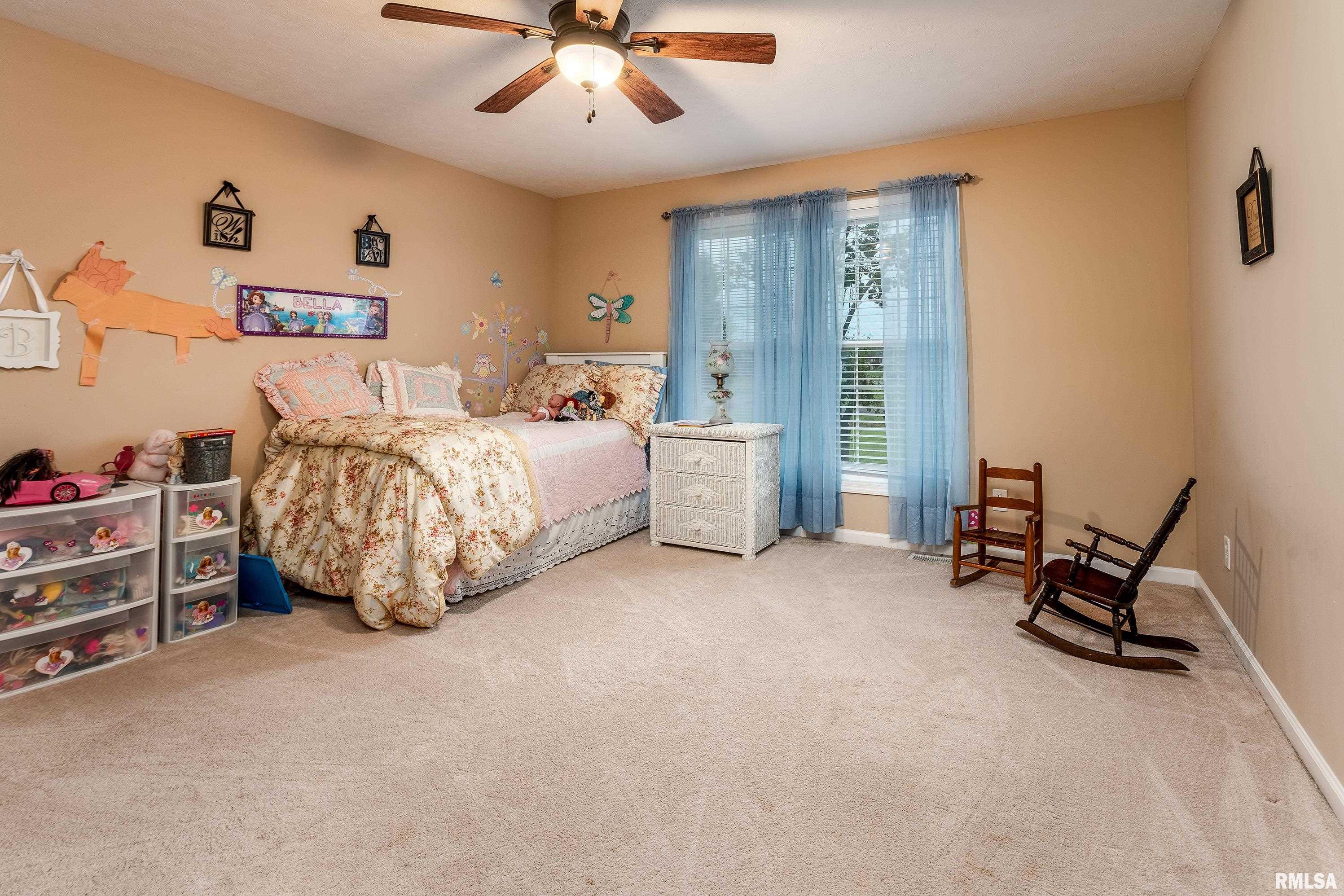 5963 Lakeview Drive, Carterville, Illinois image 21