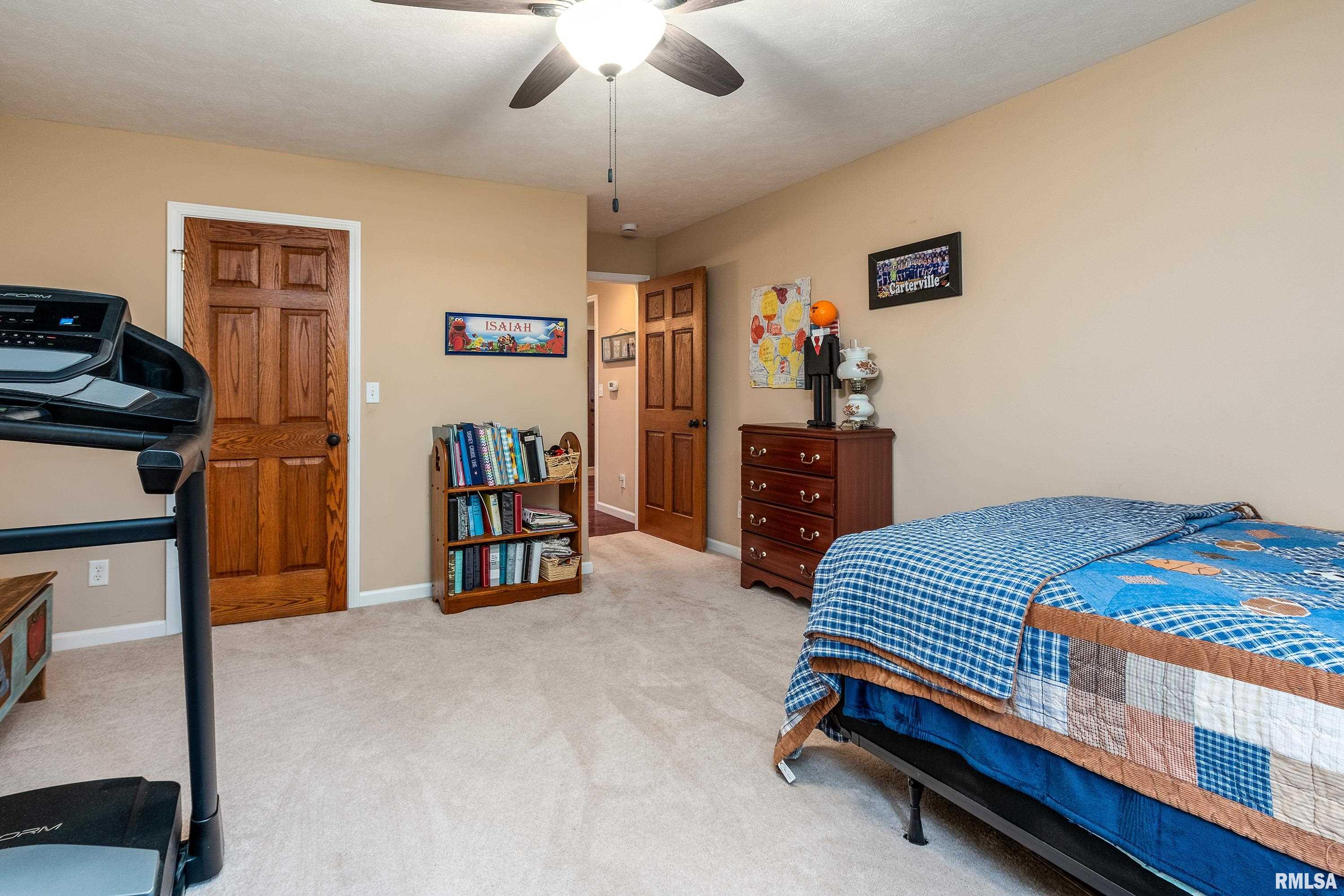 5963 Lakeview Drive, Carterville, Illinois image 25