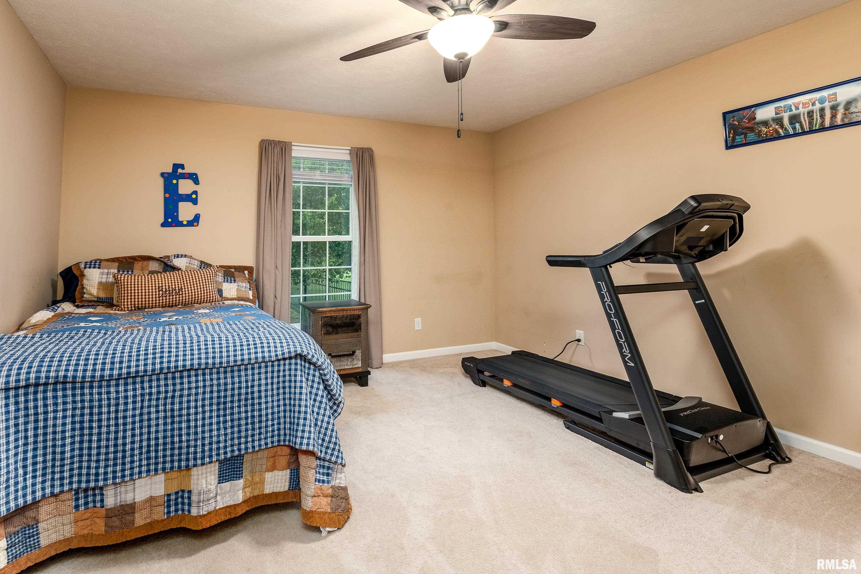 5963 Lakeview Drive, Carterville, Illinois image 24