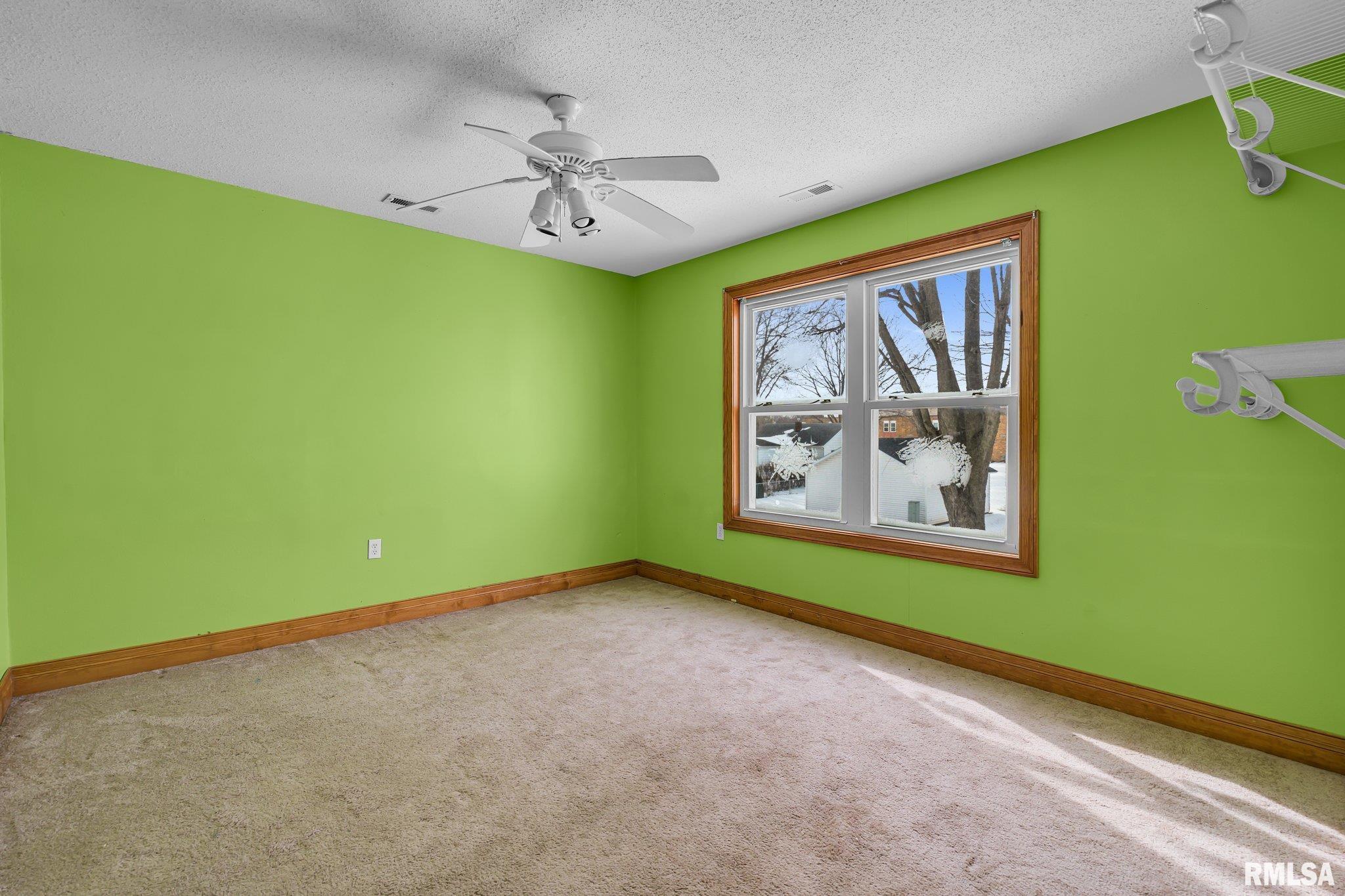 217 N 5th Avenue, New Windsor, Illinois image 22