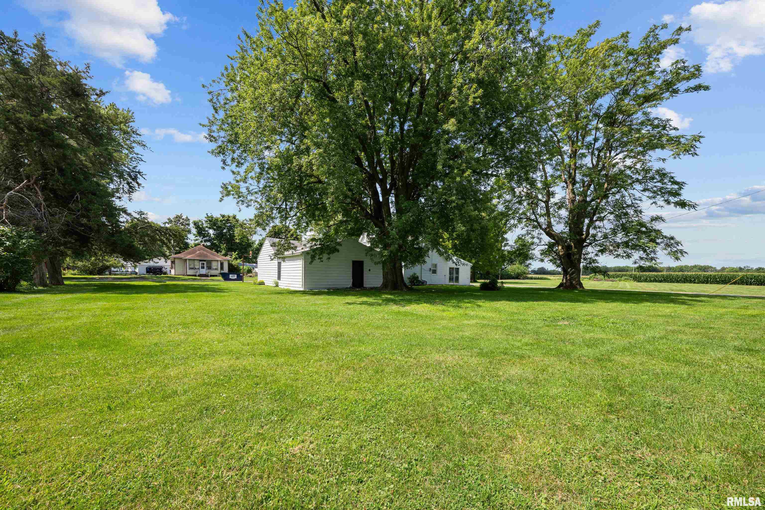 311 W Illinois Street, Joy, Illinois image 7