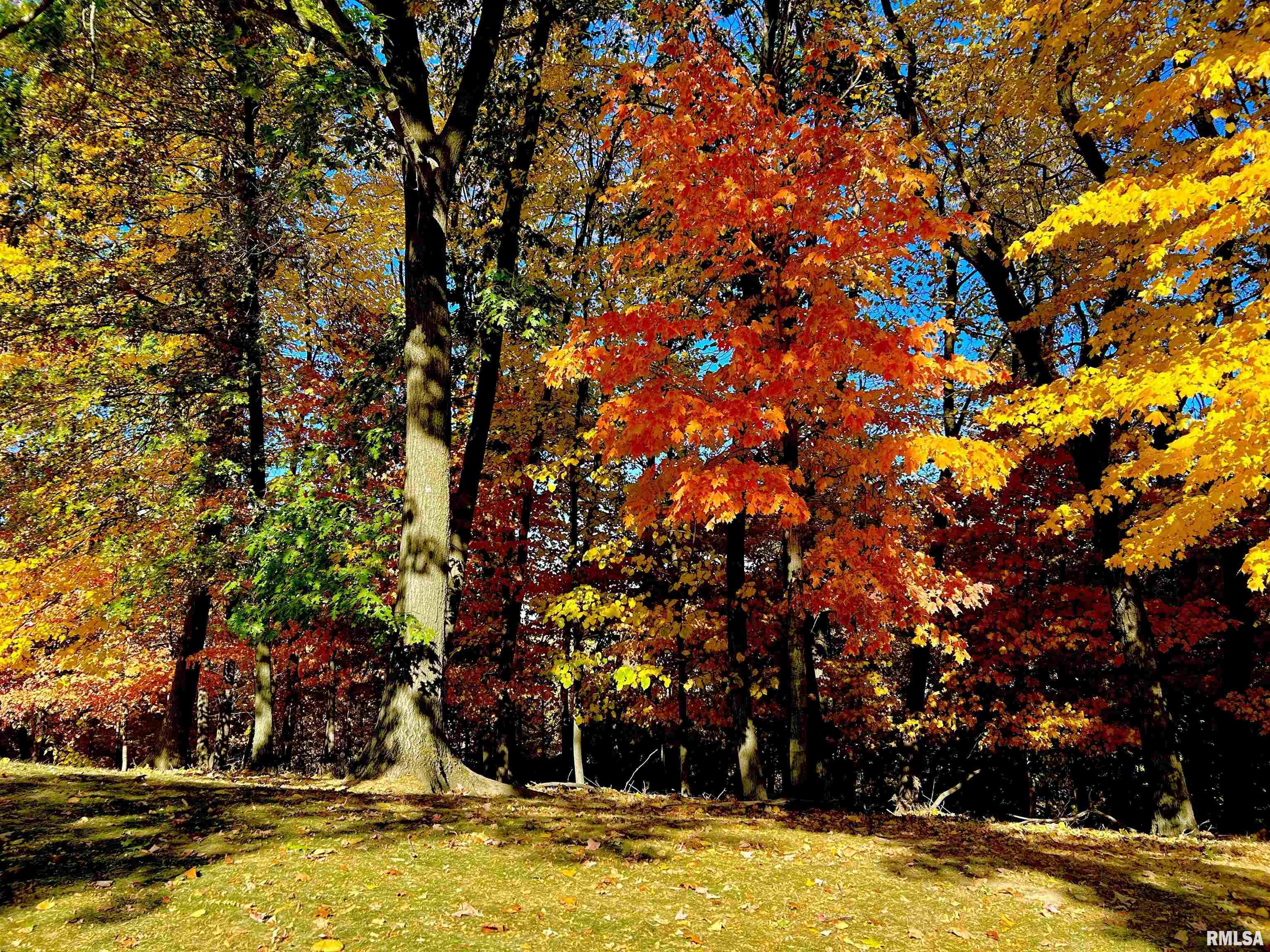 7 Sharon Lane, Fulton, Illinois image 42