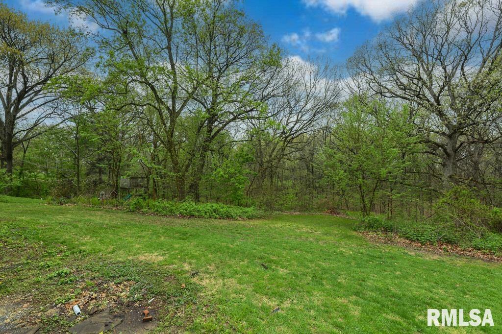 1121 N Wood Road, Peoria, Illinois image 7