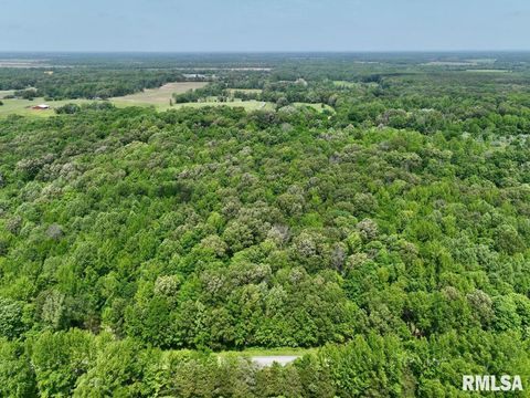 Vacant Land For Sale - 001 Battleford Road<br/> Saline County, Stonefort, IL 62987