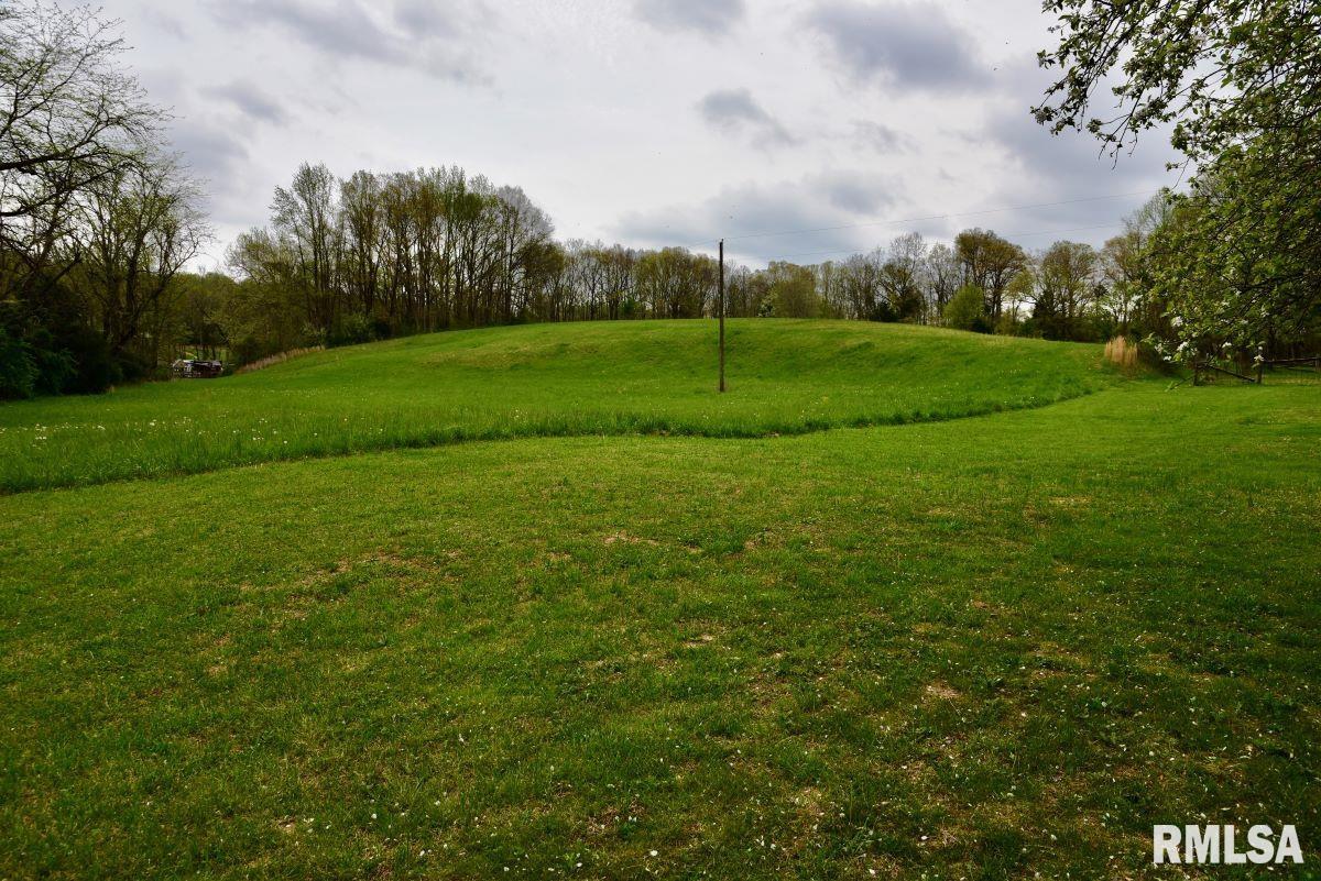 22 Roundhouse Road, Herod, Illinois image 34