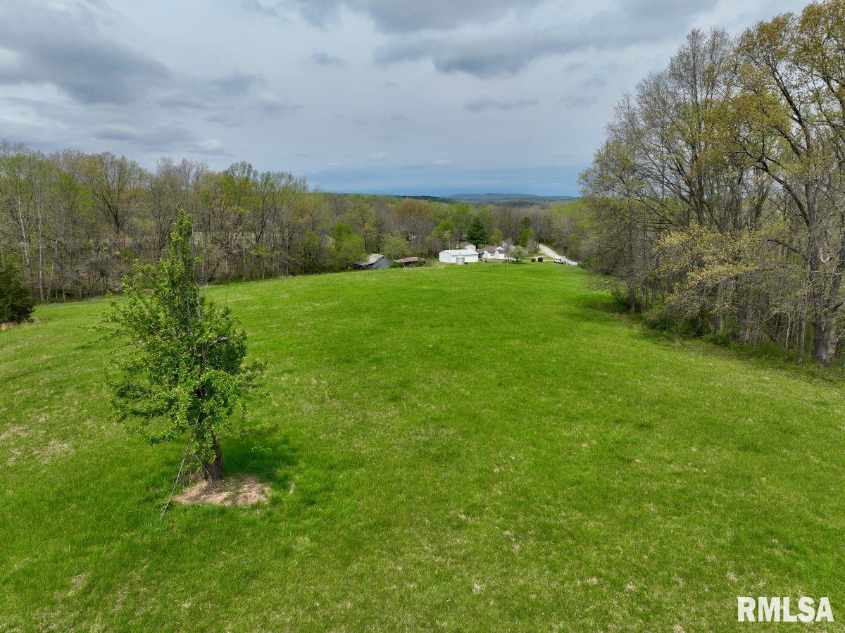 22 Roundhouse Road, Herod, Illinois image 41