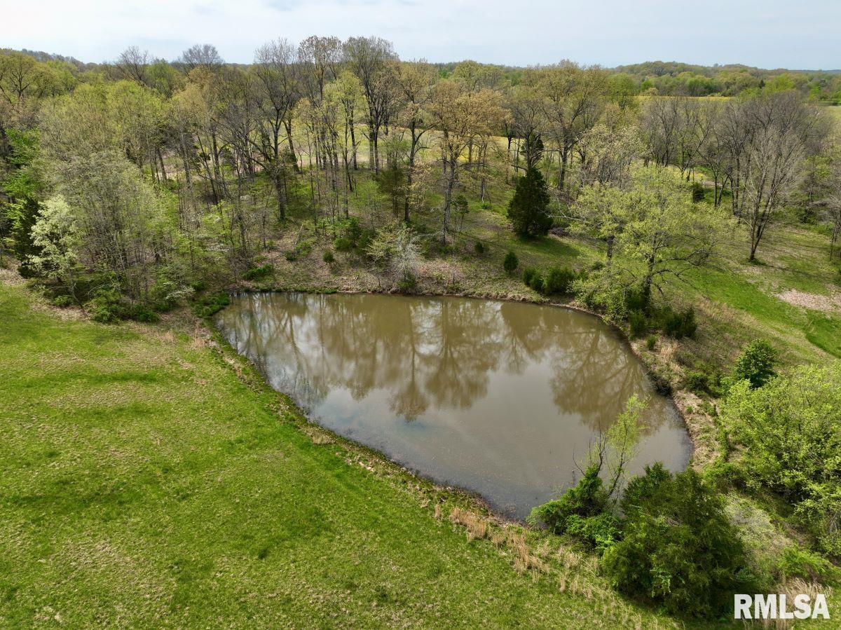 22 Roundhouse Road, Herod, Illinois image 40