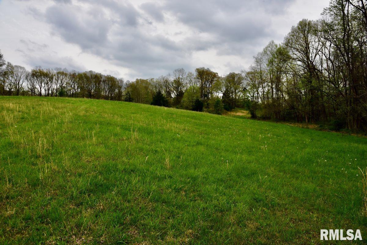 22 Roundhouse Road, Herod, Illinois image 36