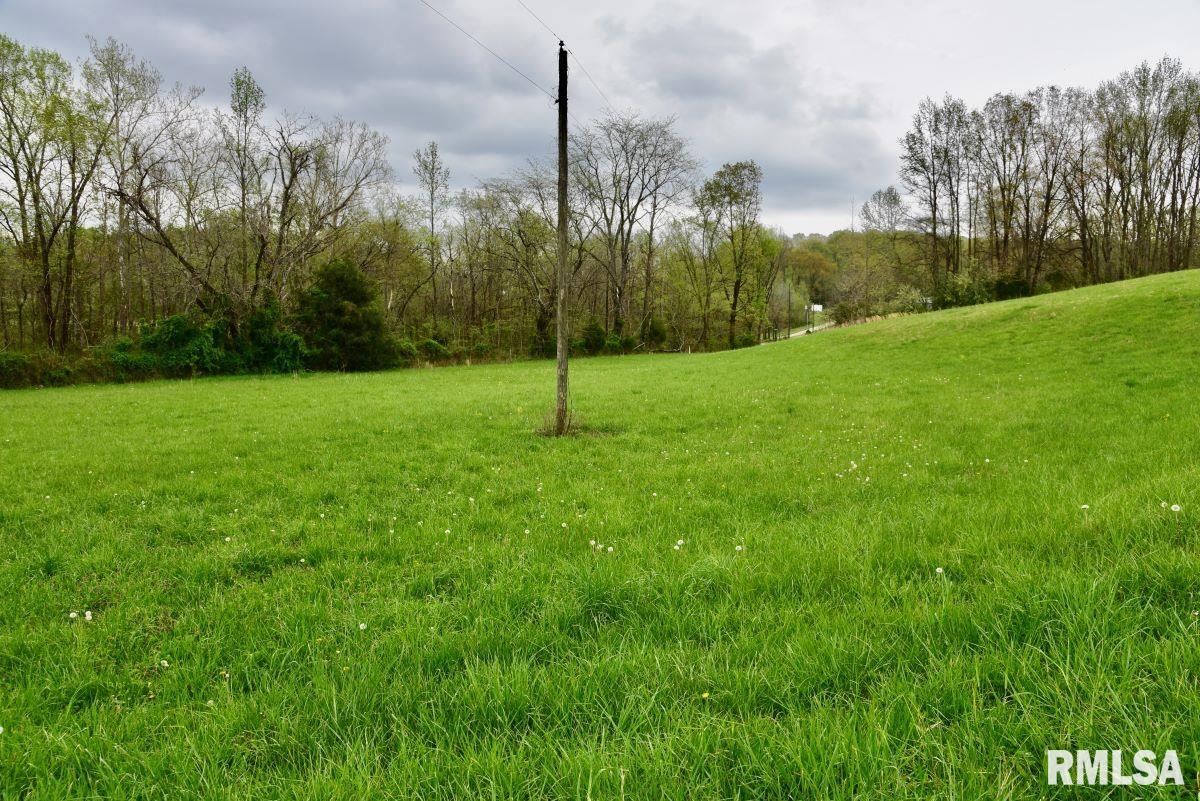22 Roundhouse Road, Herod, Illinois image 35