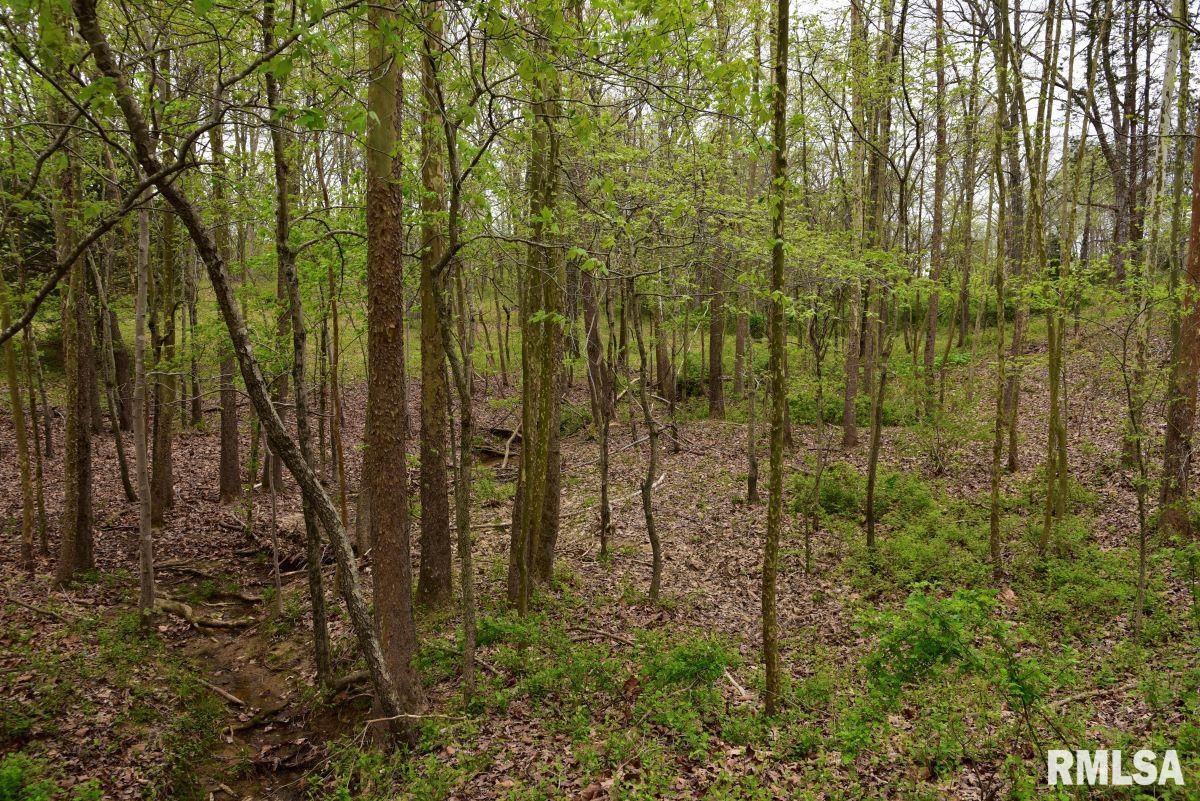 22 Roundhouse Road, Herod, Illinois image 43
