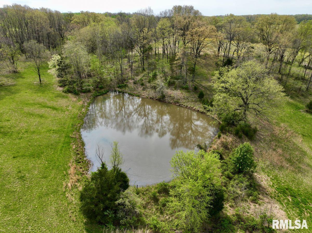 22 Roundhouse Road, Herod, Illinois image 38