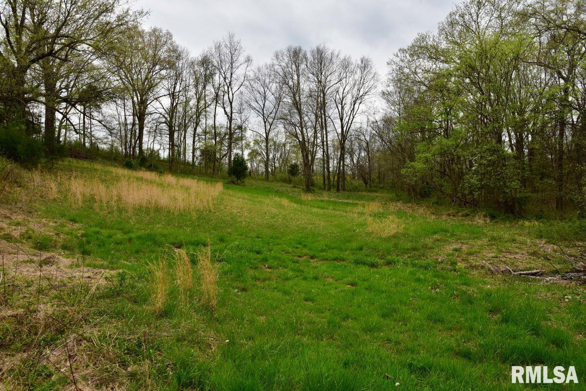 22 Roundhouse Road, Herod, Illinois image 46