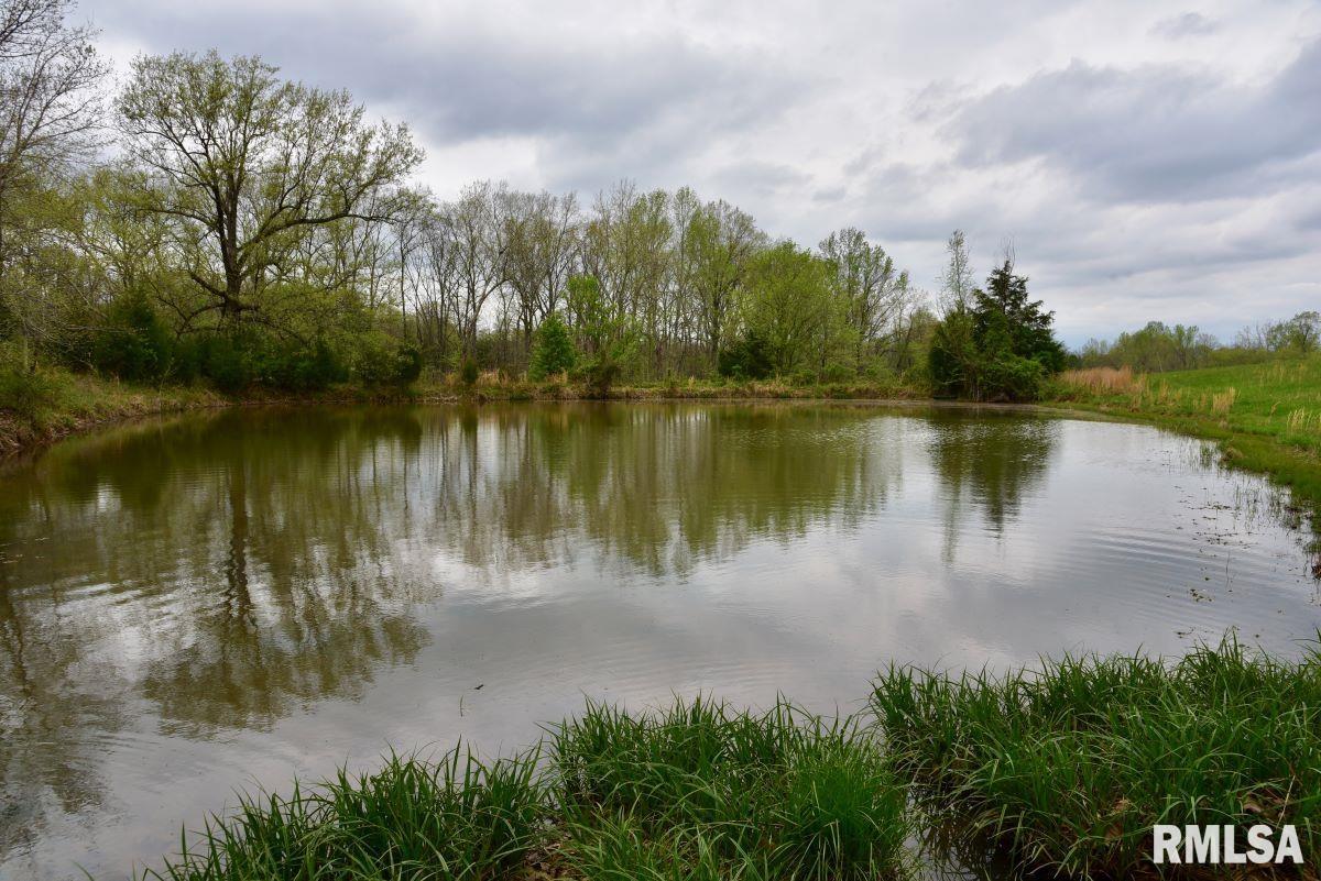 22 Roundhouse Road, Herod, Illinois image 39
